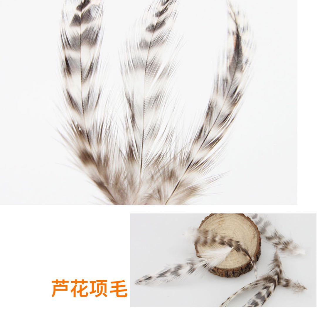 The manufacturer supplies green reed flower chicken feather handmade diy accessories, dreamcatchers, clothing feather accessories, and reed flower pointed-neck feathers pic 18
