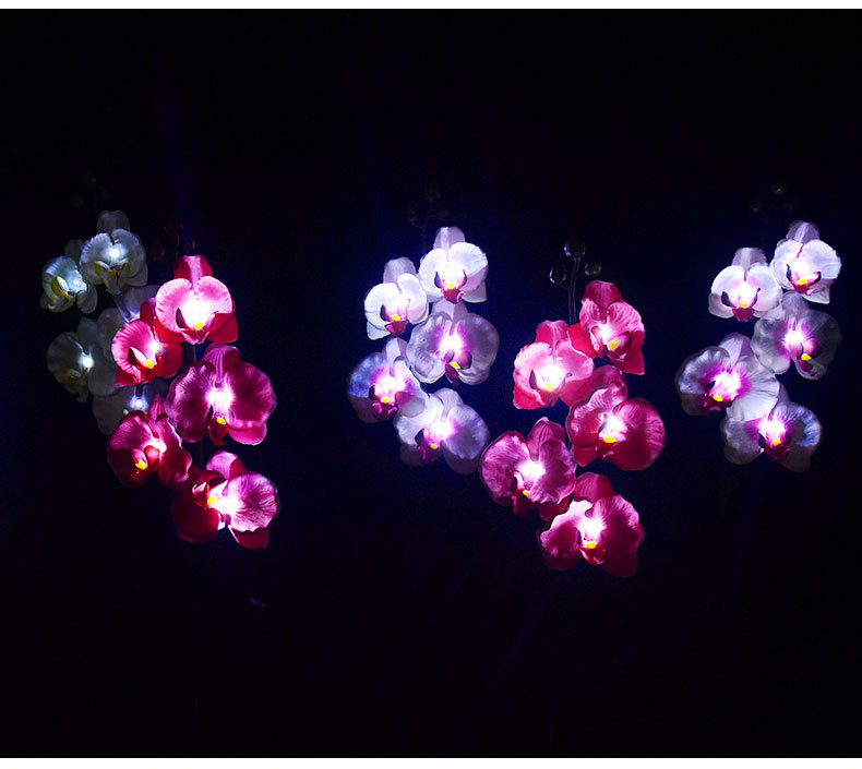 Cross-border solar lamps, simulated flower Phalaenopsis, ground insert lamps, outdoor courtyard lamps, landscape, festival and garden decorations pic 19