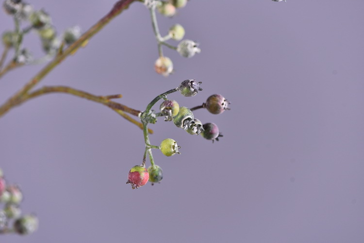 Factory direct sales of artificial Ma Sang Fruit Mountain return artificial berries wholesale living room model room banquet decoration wild fruits pic 8