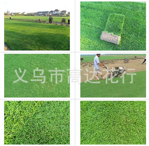 Artificial putting green grass, artificial football grass, artificial turf, artificial grass, special grass for kindergartens, and leisure grass pic 28