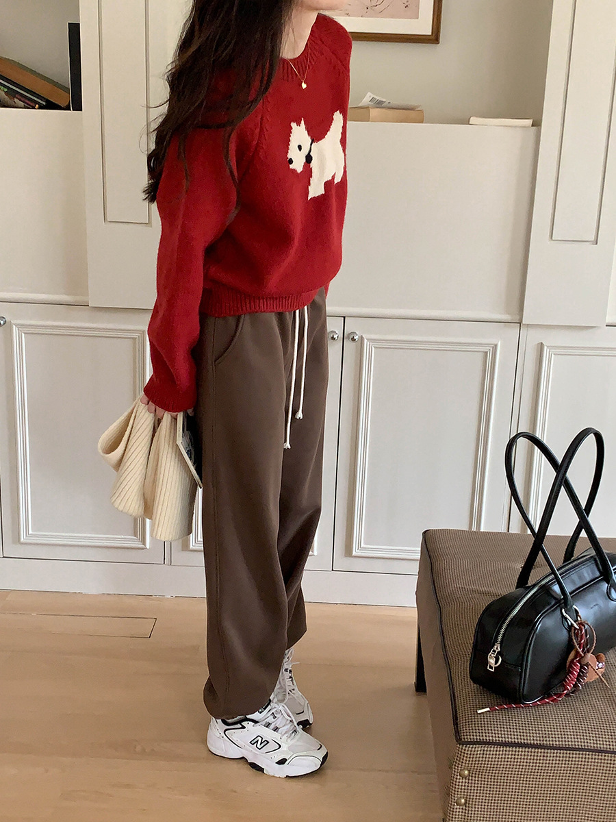 3th Morning North Island Park Korean Style Youthful Dog Embroidered Round Neck Pullover Sweater ZY2381 pic 53