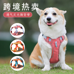秋冬麂皮绒保暖宠物胸背带反光中小型狗狗胸背猫咪牵引绳亚马逊详情2