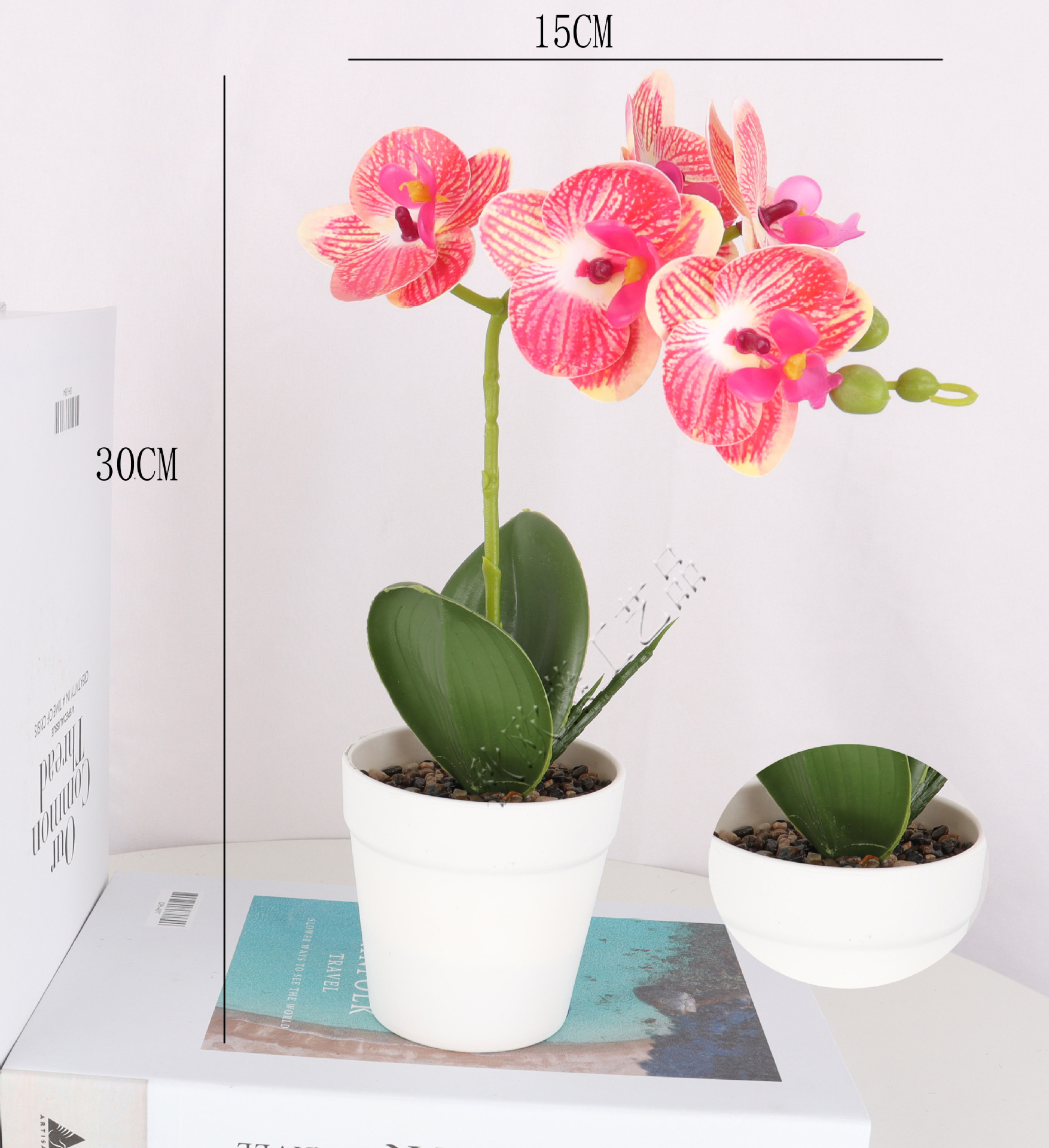 仿真3D蝴蝶兰5头盆栽/仿真盆景/仿真花创意内室小摆件/亚马逊厂直详情5