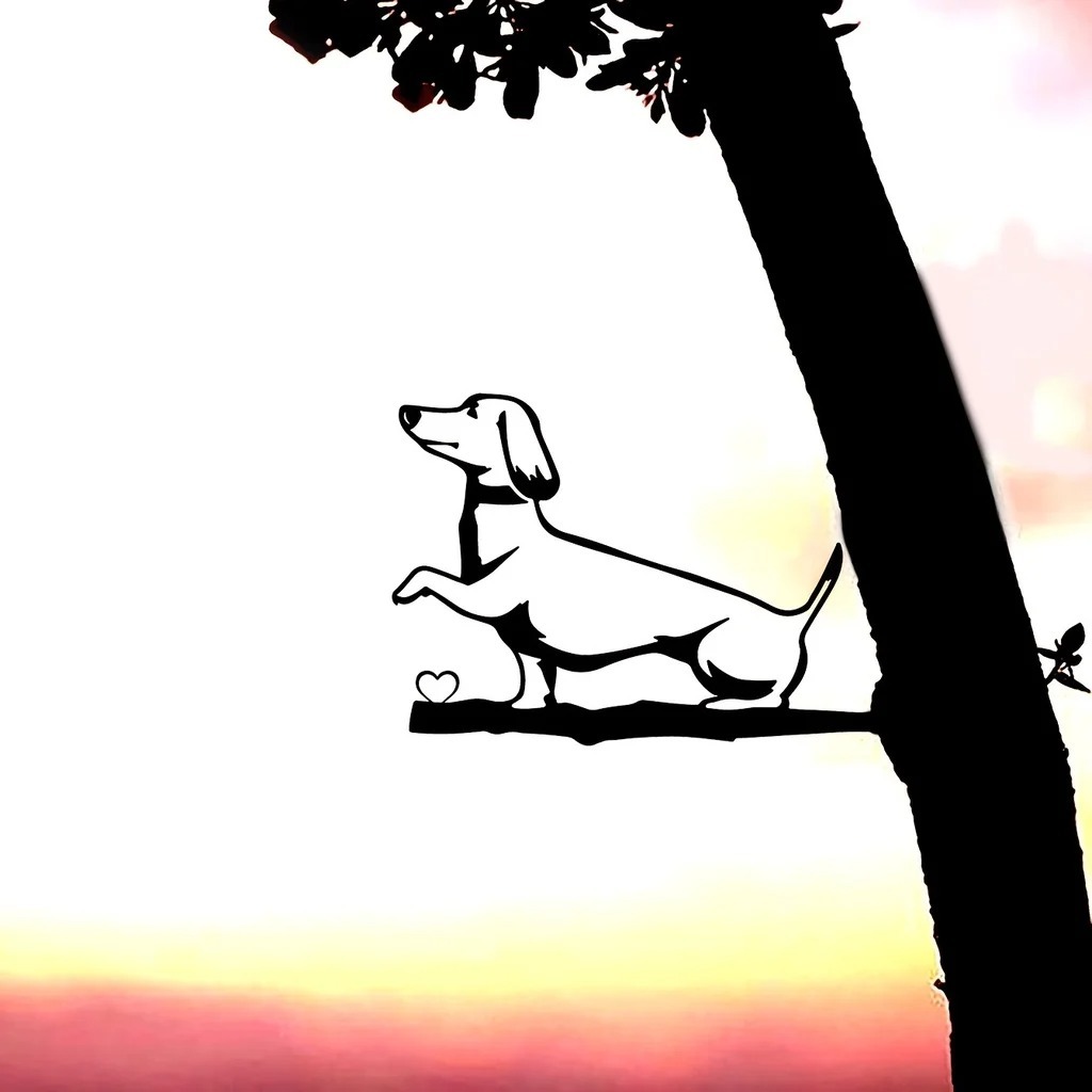 5_S574115369b6c490daab1f9c24df