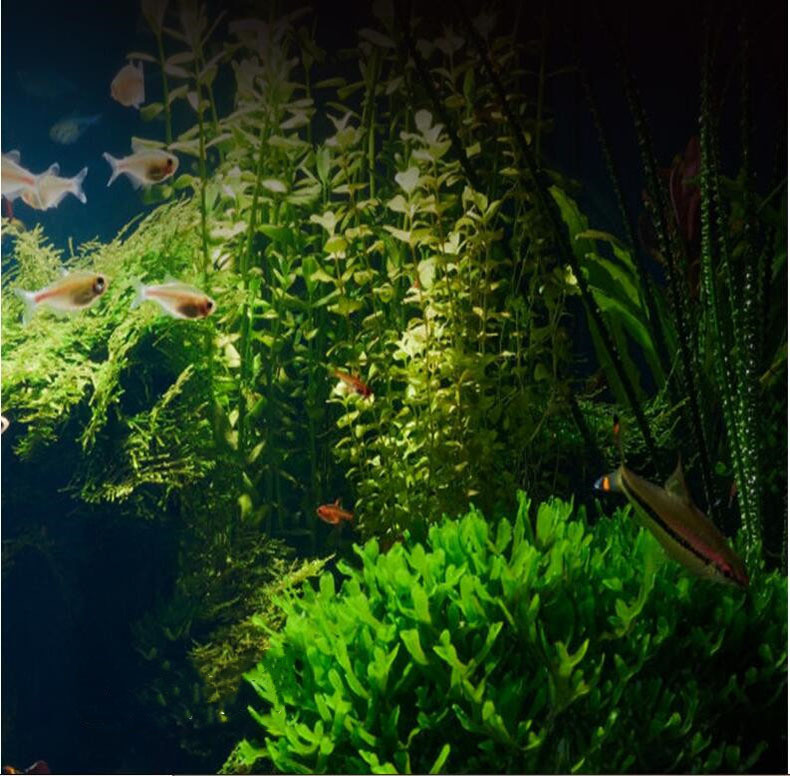 Aquarium oxygenation pump, oxygen gas pump, oxygen flushing pump, white bubble stone, gas stone, cylindrical oxygenation pump accessories pic 5