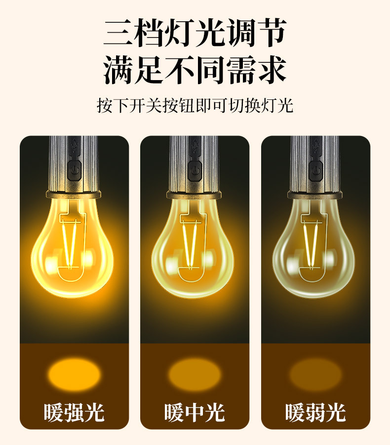 跨境创意手提仿真露营灯泡便携挂钩设计独立电源手提灯详情5