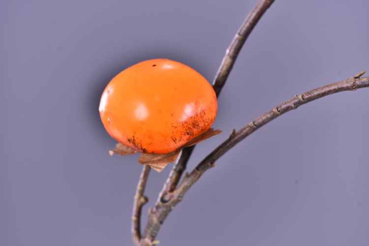 Wholesale of artificial persimmons, home living room model room soft decoration ornaments, money fruit, high-end artificial berries, decorative artificial flowers pic 5