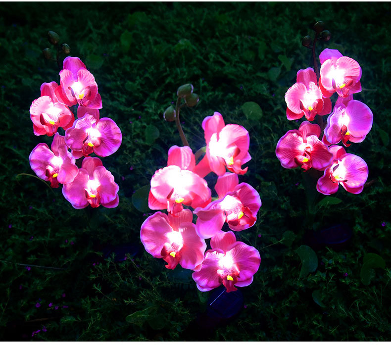 Cross-border solar lamps, simulated flower Phalaenopsis, ground insert lamps, outdoor courtyard lamps, landscape, festival and garden decorations pic 20