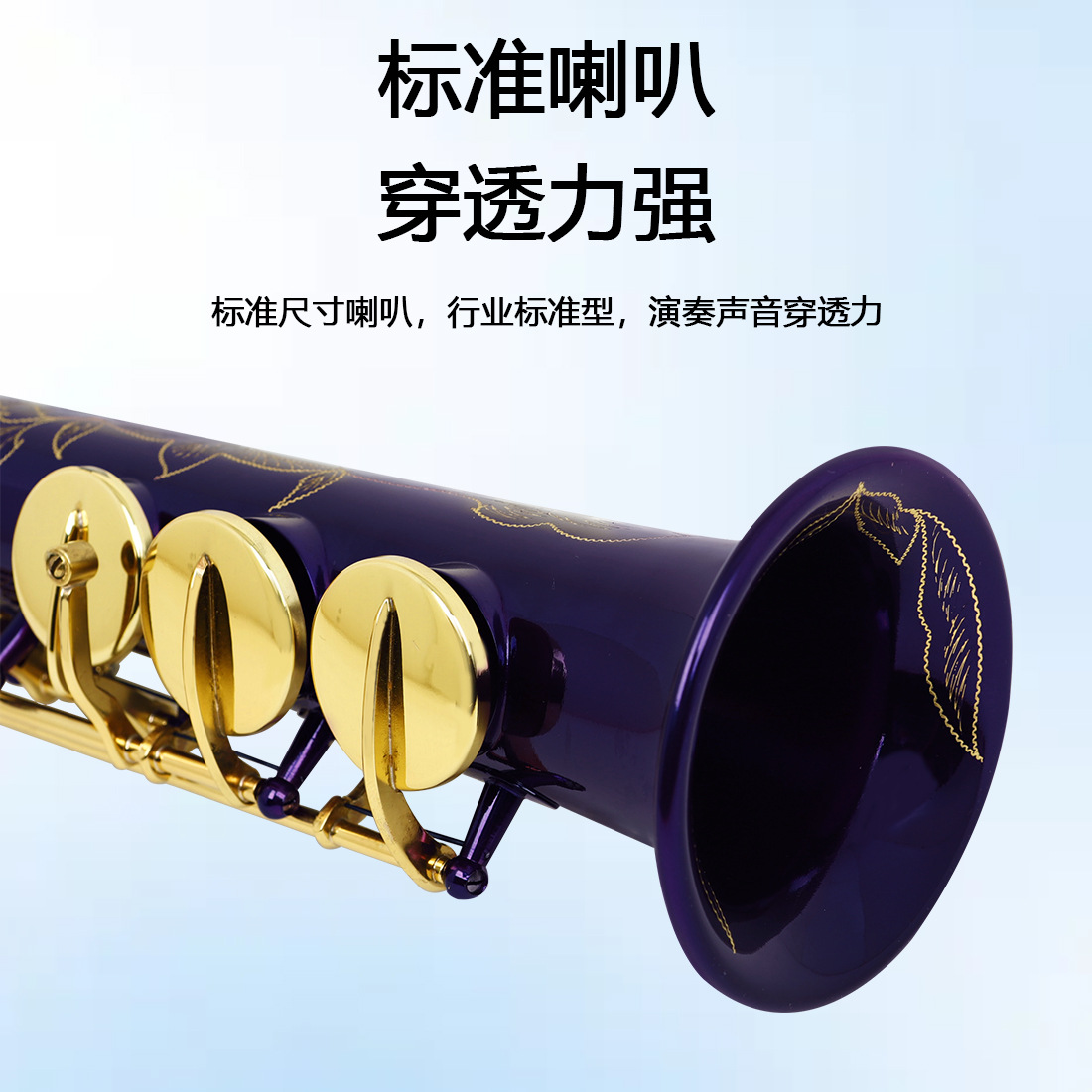 SLADE紫色直管萨克斯降B调高音萨克斯儿童成人初学者演奏萨克斯风详情3