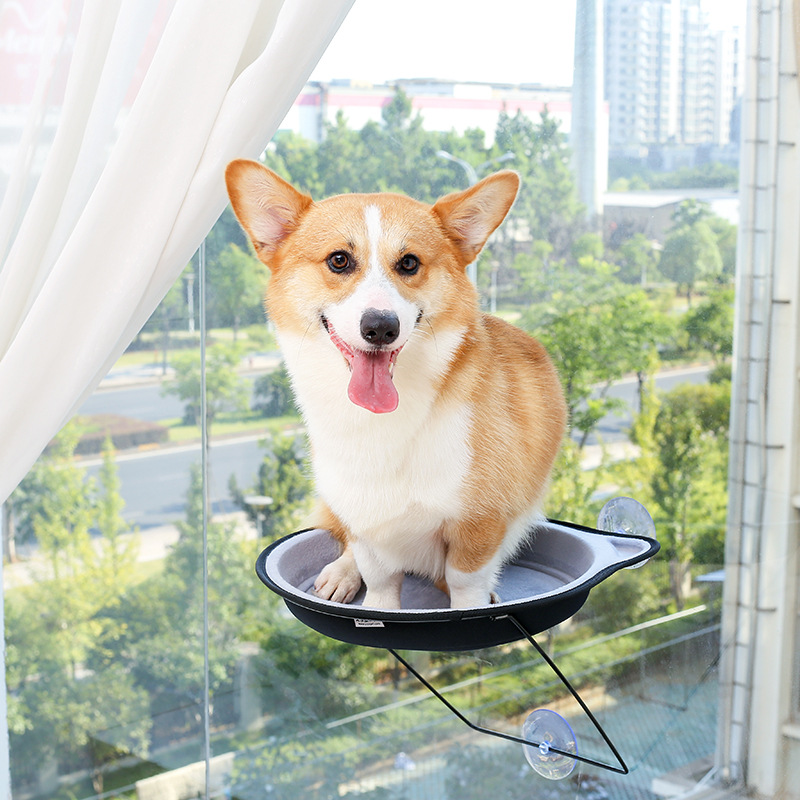 Cat bed, hammock, cat bed, suction cup hanging bed, window glass hanging EVA cat house, four-season pet supplies pic 1