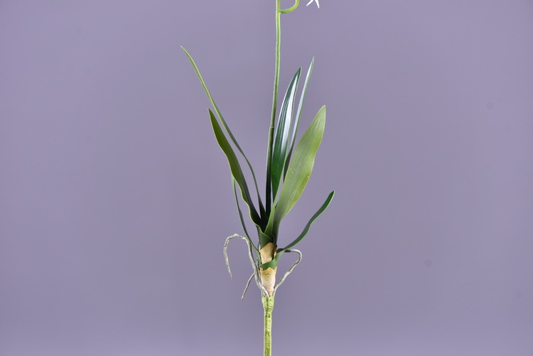 Factory direct sales of high-end artificial dendrobium, wholesale of artificial flowers with leaves, home decoration of Phalaenopsis and Lanjin artificial plants pic 48