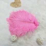 The feather fan is a special prop for the dance performance of the ostrich-colored feather fan used by the palace film crew pic 1