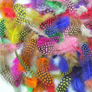 厂家批发珍珠鸡毛彩色羽毛 服装DIY手工工艺品饰品耳环材料野鸡毛详情5