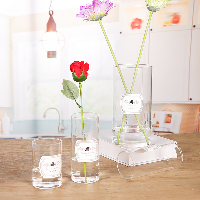 Nordic straight tube vase, simple transparent glass vase, home fresh flowers, hydroponic decoration, living room glass vase ornaments pic 9
