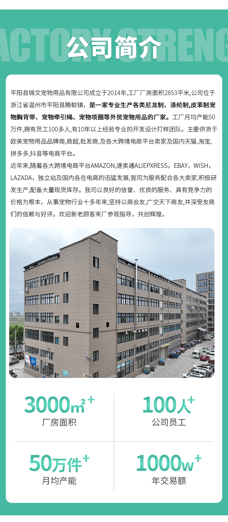 爱心猫咪项圈现货批发彩钻植绒小型犬项链亚马逊爆款宠物猫圈铃铛详情6