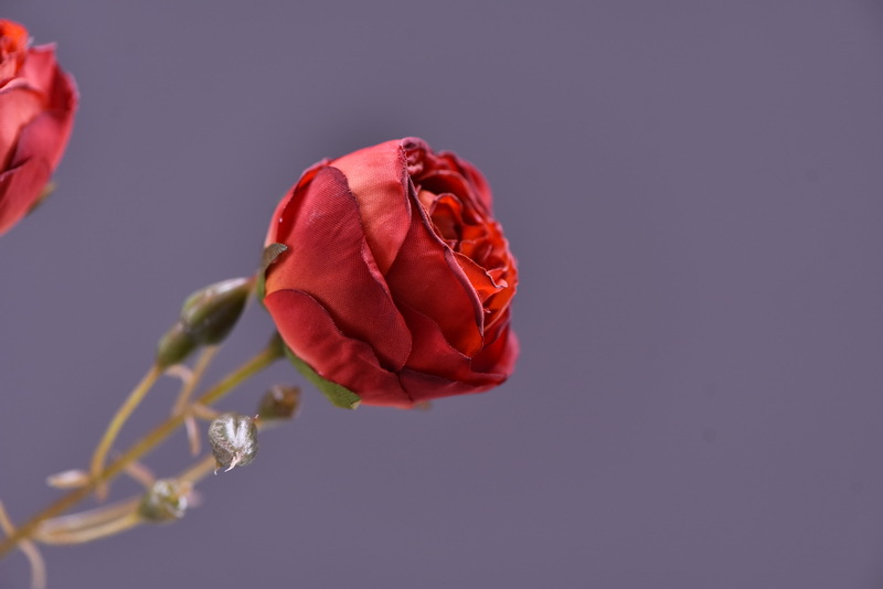 Simulated retro charred edge rose bud home, hotel, banquet table flower, high-end simulated rose, simulated dried flower pic 6