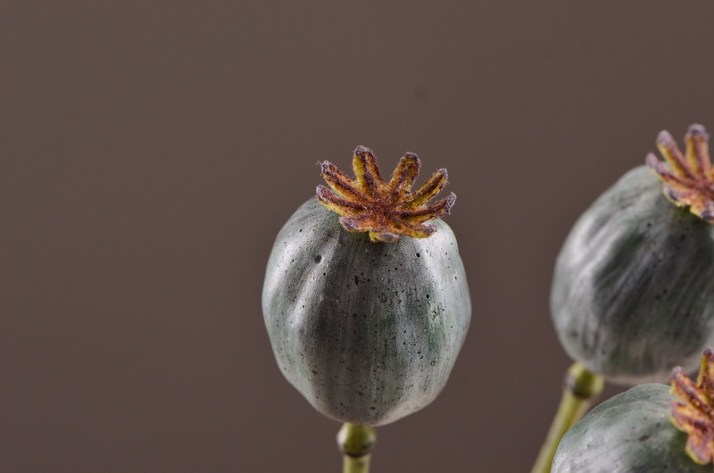 Wholesale of high-end artificial fruits, artificial flowers, photography props, teaching AIDS, dried artificial flowers and flower arrangement materials from the original factory pic 18