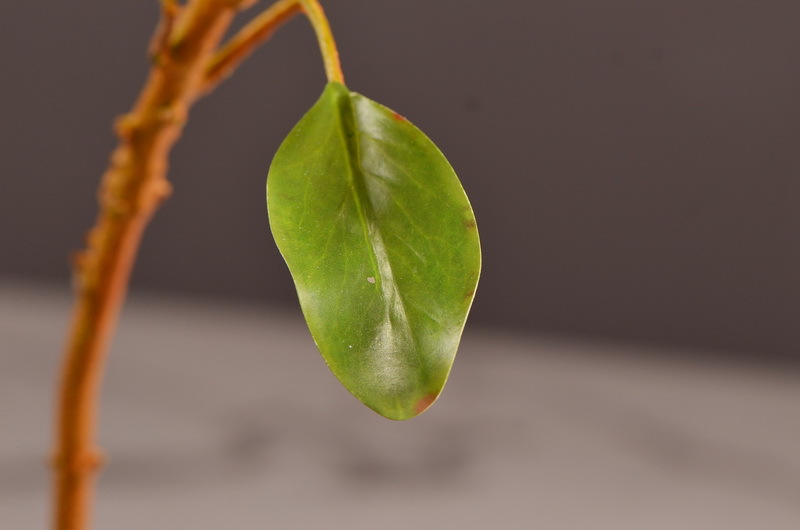 Wholesale of high-end artificial flowers such as faux emperor flower, South African princess flower, flocked faux flowers, hotel banquet table flowers, and homestay decoration pic 10