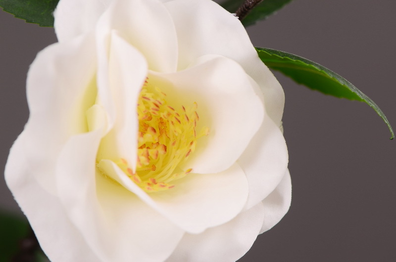 High-end artificial camellia wholesale from the original factory, ins home, hotel, banquet table flowers, cross-border pic 7