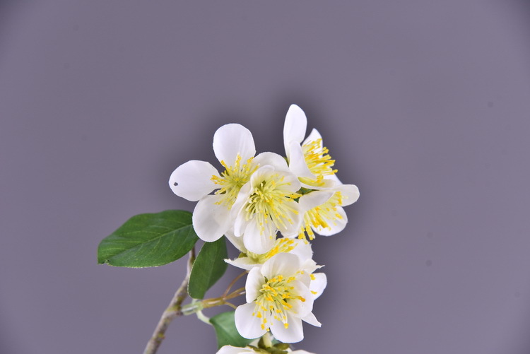 Wholesale of artificial flowers from the original factory, including artificial pear blossoms, cherry blossoms, duckweed flowers, model rooms, living rooms and hotel decorations pic 6