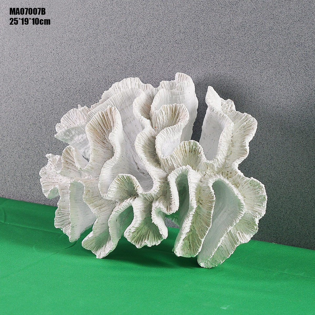 MA07007B
