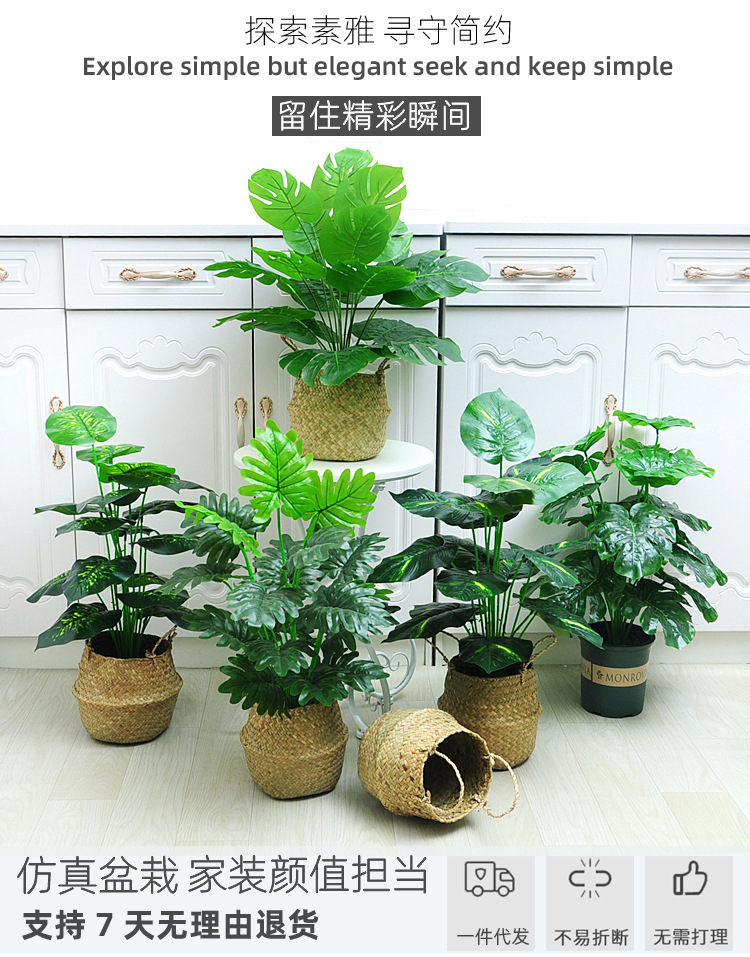 750阿里巴巴