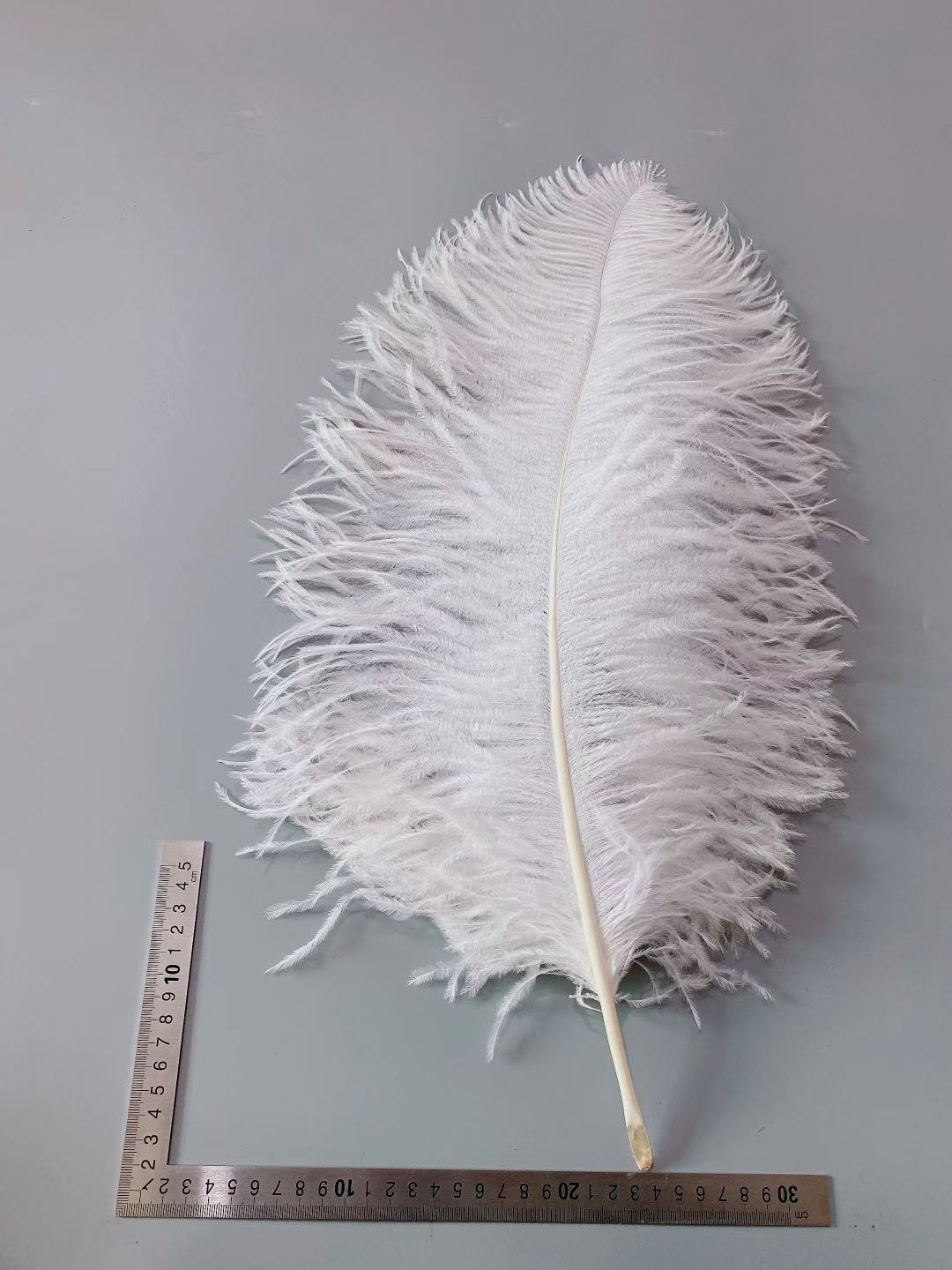 The manufacturer has 60-65 cm colored ostrich feather wedding window carnival prop decorative feather table lamp in stock pic 35