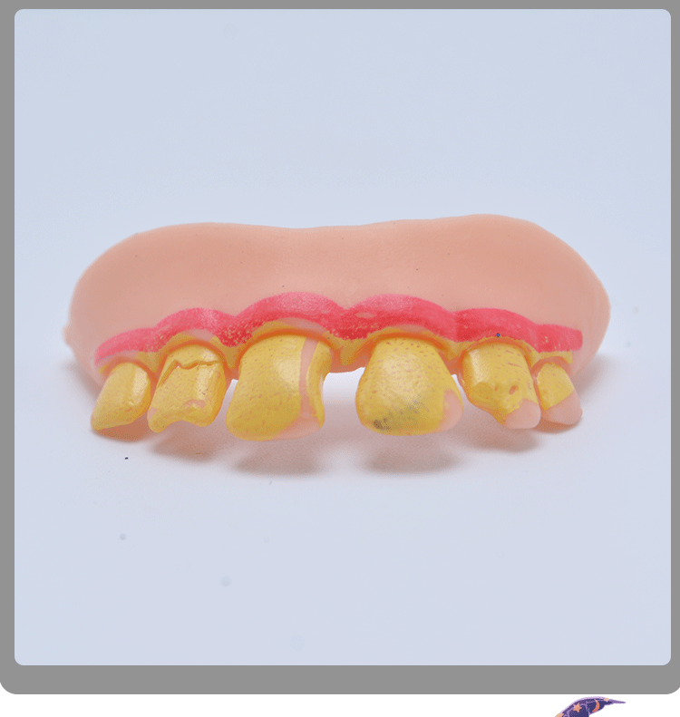 【跨境】亚马逊万圣节道具僵尸假牙 仿真整蛊搞笑牙套龅牙套装详情7