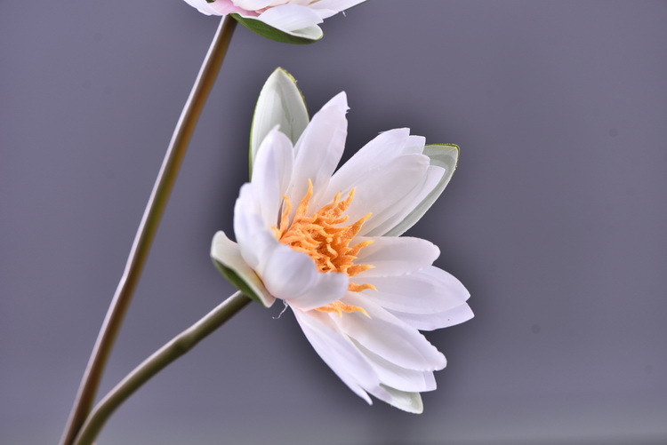 Wholesale manufacturer of artificial water lilies, direct sales of artificial flowers for wedding, home, hotel and homestay soft furnishings, artificial flowers, and photography props pic 18