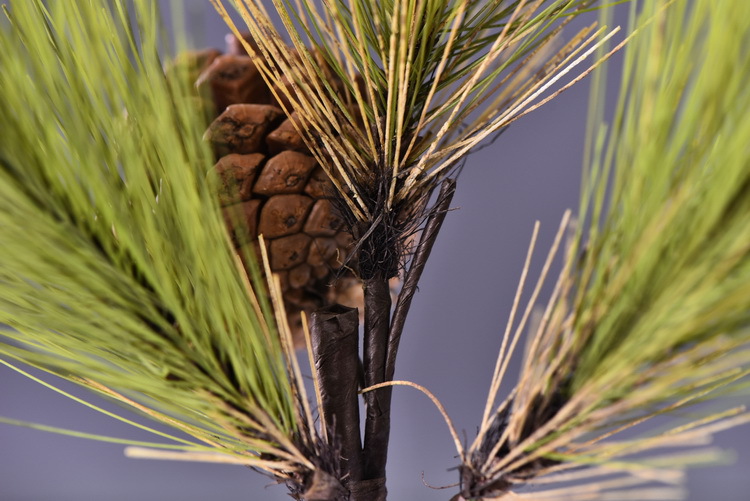 Factory direct sales of artificial Masson pine, Wabi-sabi style, Chinese Zen style artificial plants, wedding and banquet decoration green plants, pine needles pic 26