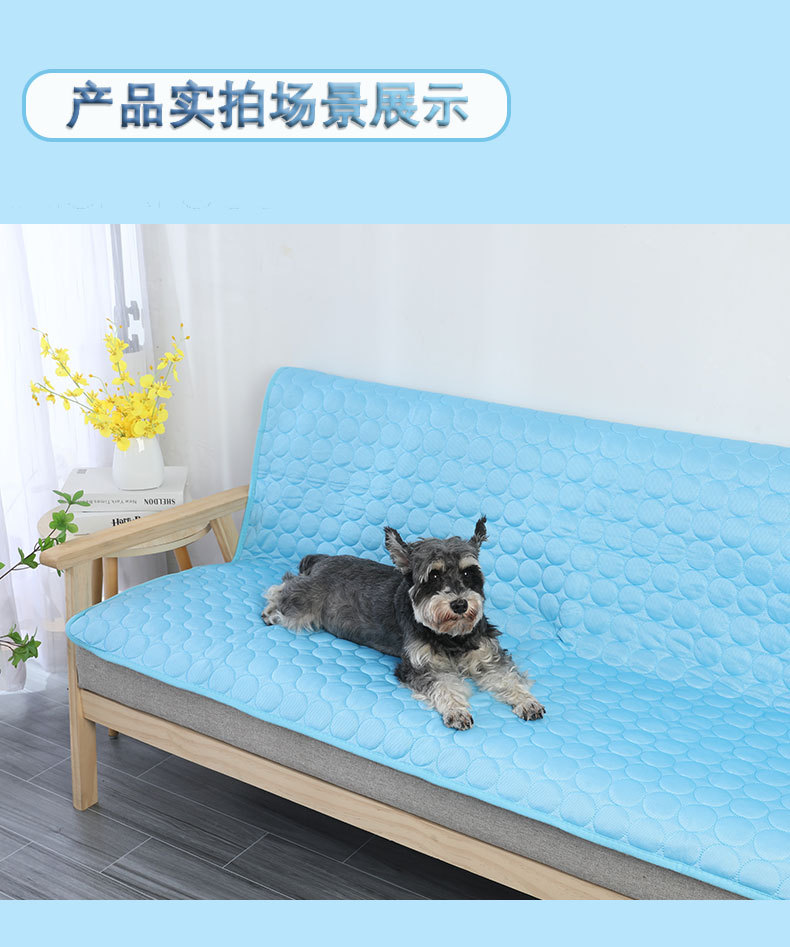 宠物冰垫夏季降温冰丝睡垫宠物沙发垫防咬狗狗冰垫夏季猫凉垫厂家详情2