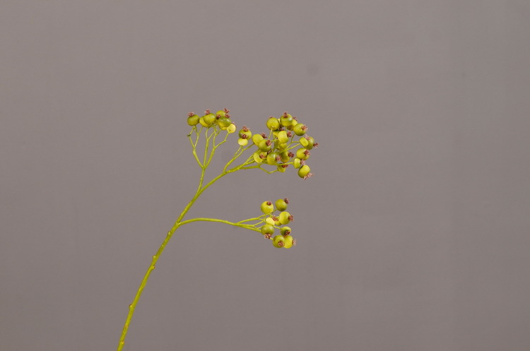 Dongli Flower Industry offers wholesale of artificial flowers for Chinese-style living room, home and dining table decoration. We provide one-piece consignment services for large branches, multi-headed artificial berries, rose fruits, small white fruits and green fruits pic 17