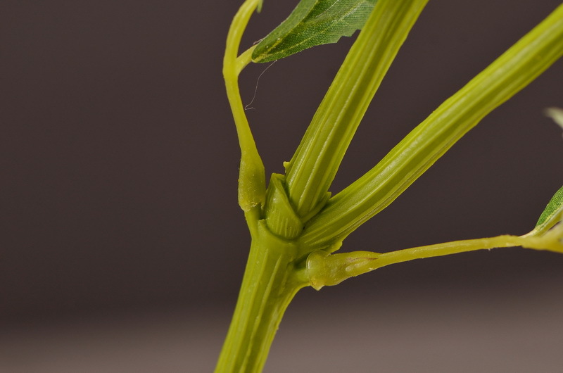 Wholesale of artificial lace and artificial green plants from the original factory, flower arrangement materials, and artificial plants for home, hotel, wedding and decoration pic 33