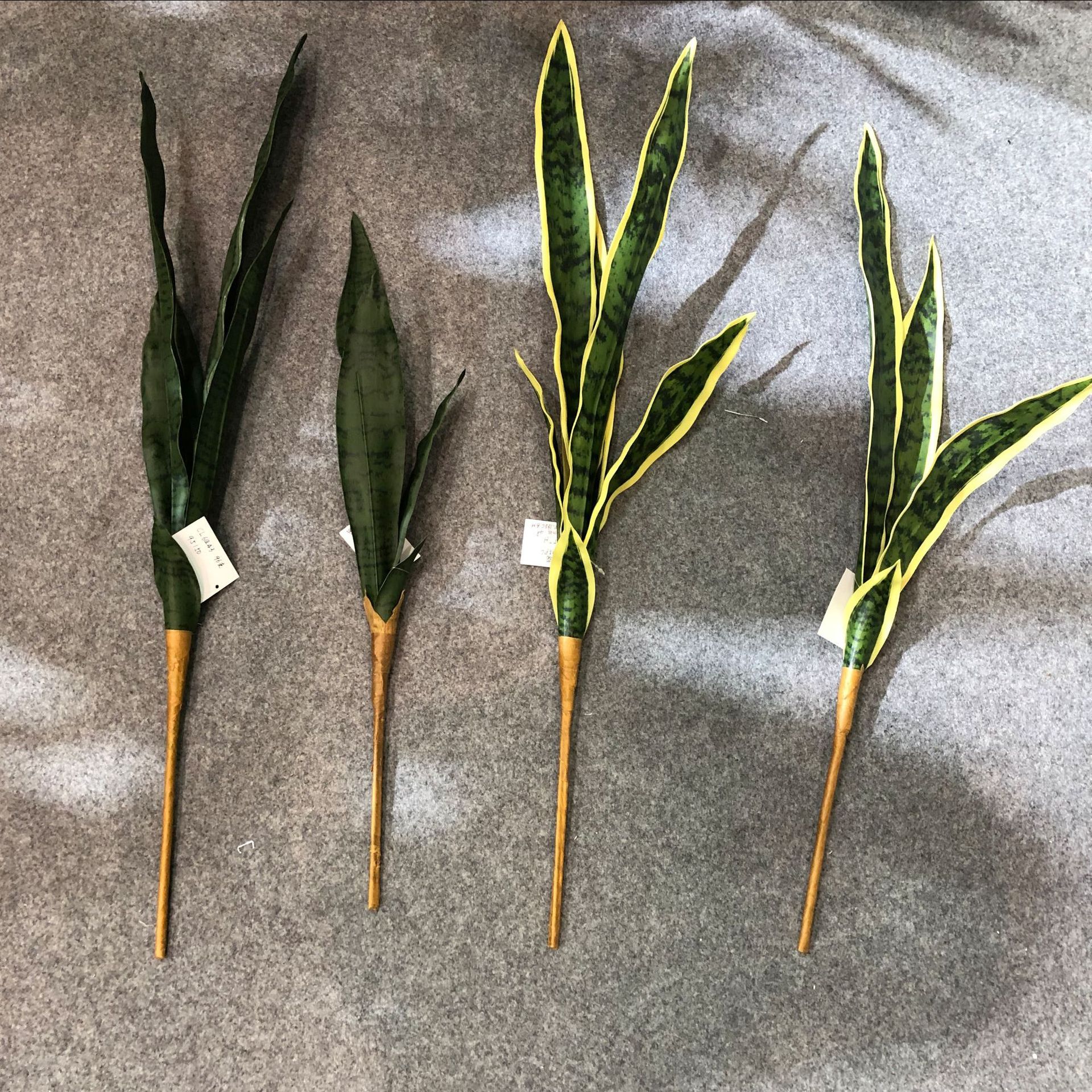 Simulated tiger skin lily, desert plant, simulated agave, single tiger skin lily, yellow-edged tiger skin lily, Phalaenopsis leaves pic 10