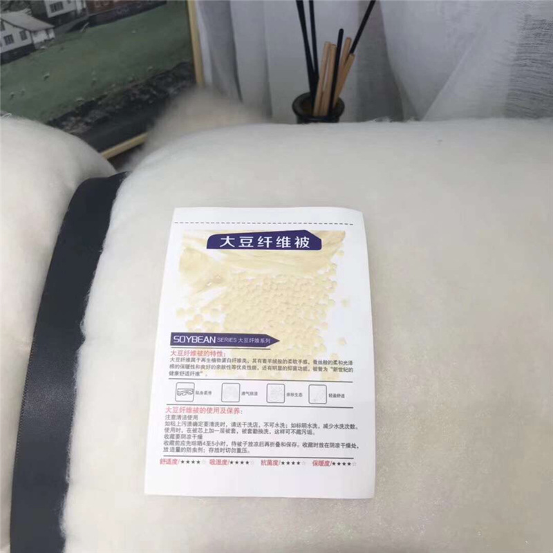 Light luxury 60S soy protein jacquard fiber quilt core, spring and autumn quilts, winter quilts, single and double soft quilts for students pic 5