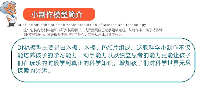 科技小制作diy人体基因DNA双螺旋模型 生物科学实验器材科普教具详情12