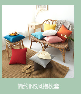 沙发靠枕靠垫抱枕PP棉内芯正方形无纺布磨毛布沙发枕芯厂家供应详情8