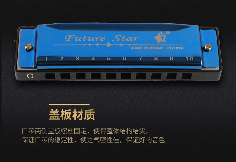 10孔Blues口琴外贸跨境批发塑料盒初学者入门演奏十孔布鲁斯口琴详情6
