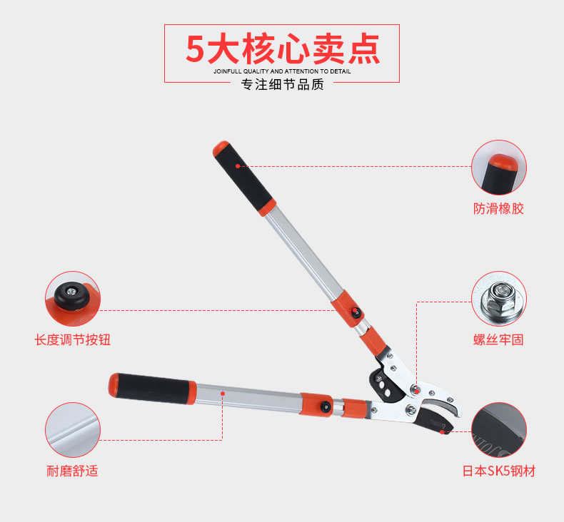 金聚丰大力剪伸缩粗枝剪高枝修枝剪果树枝绿化花艺园林用品详情3