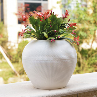 茏达森园艺种菜盆植物箱长方型荷花边加仑盆鲜花送隔水垫批发新阳台塑料花盆种菜盆植物箱长方型荷花边加仑盆鲜花送隔水垫详情12