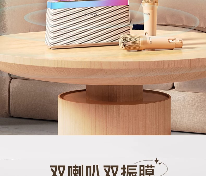 C10 Bluetooth speaker, home wireless karaoke microphone, audio all-in-one machine, high-quality subwoofer for home ktv pic 6