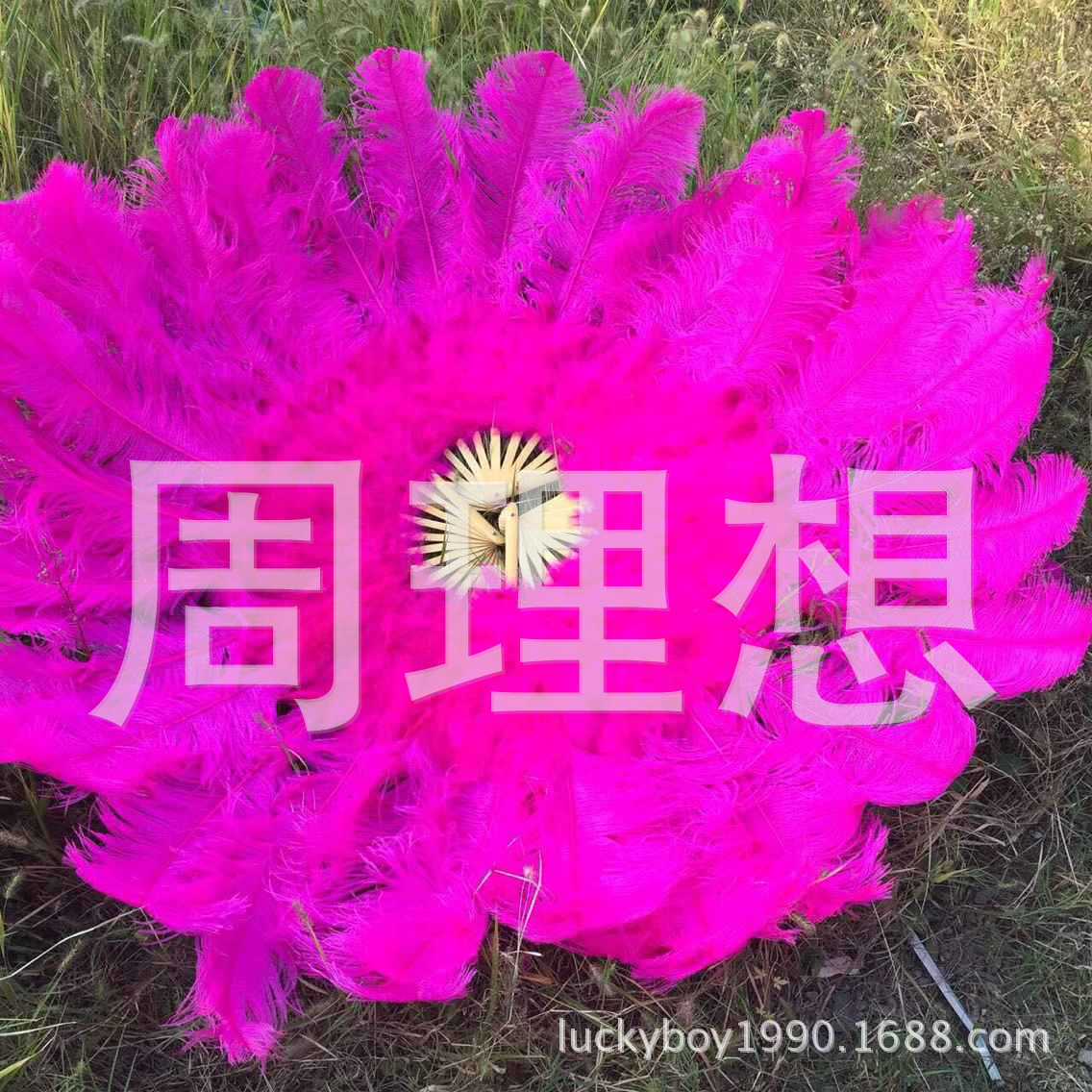 The feather fan is a special prop for the dance performance of the ostrich-colored feather fan used by the palace film crew pic 36