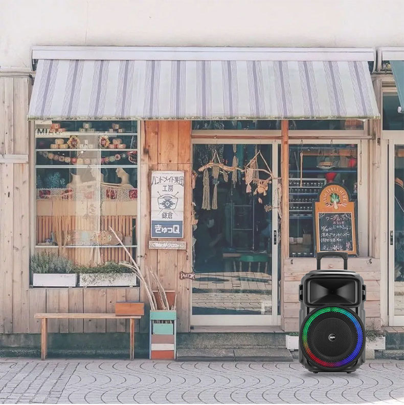 12-inch RX-1229 outdoor multi-functional high-volume Bluetooth speaker, portable high-power basket tooth audio system for stores pic 10