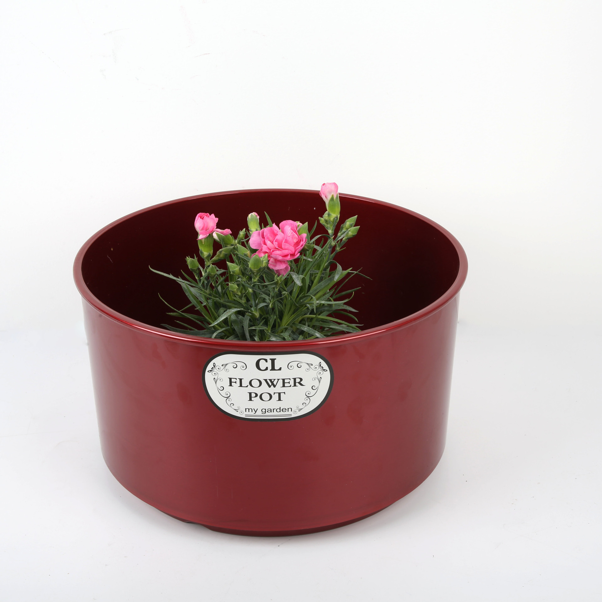 蝴蝶兰花盆欧式简约创意个性阳台绿萝塑料花盆盆栽种植花盆出口内销外贸兰花烤漆刷漆仿瓷仿古详情11