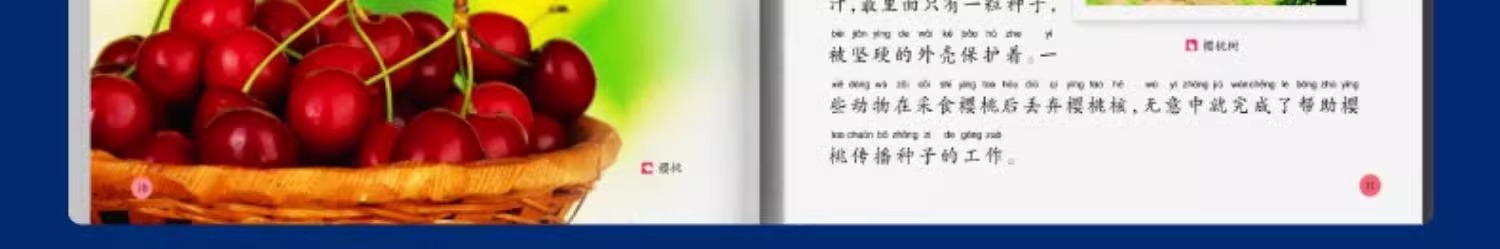 中国少年儿童百科全书全套10册注音版6-8-12岁青少年科普读物详情20