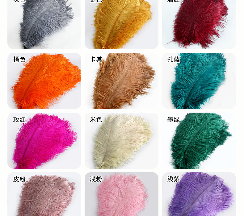 厂家现货鸵鸟毛30-35cm彩色羽毛婚礼装饰插花舞台服装婚庆指引详情20