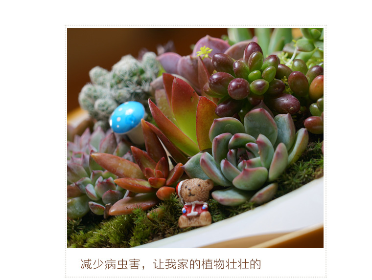 LAN Yuan Smart Flower POTS Office smart planting potted plants Creative flower POTS fully automatic flower POTS white pic 25