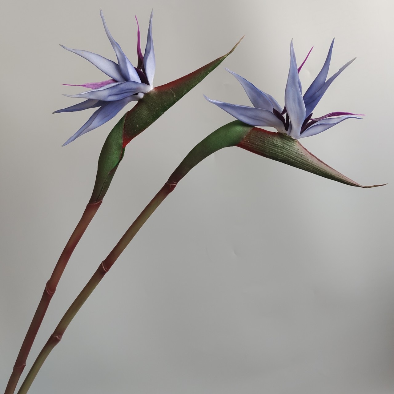 Soft rubber paradise Bird Crane Orchid New Chinese-style home model room decoration design, overseas wedding photography artificial flower pic 7