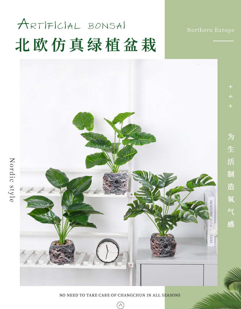 Nordic InS-style simulated pothos and turtle-back leaf potted plants, living room desktop simulated green plant potted plants, home decoration ornaments simulated potted plants pic 1