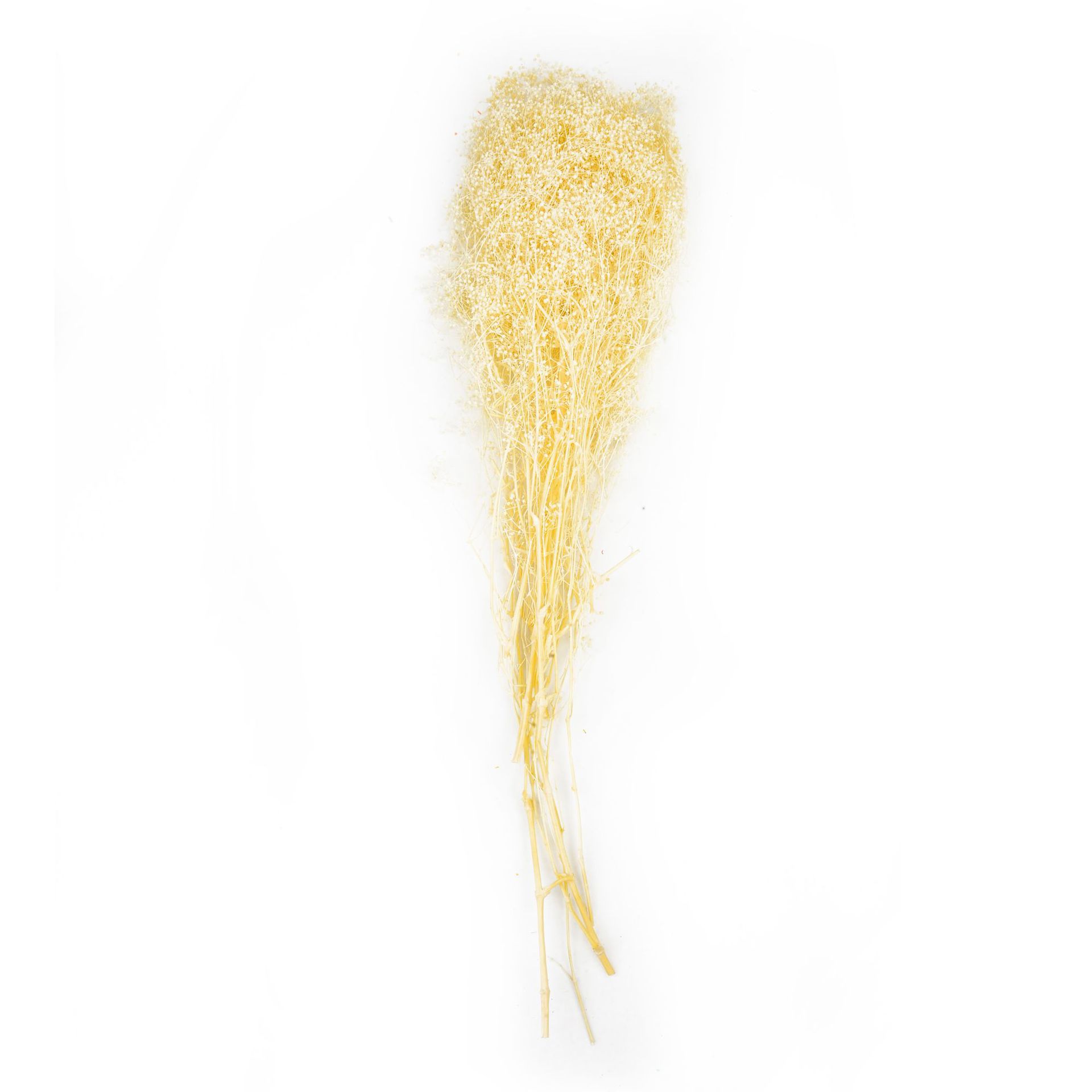 永生花千万星霞草干花花束批发装饰插花情人节生日礼物工艺品材料                              详情10